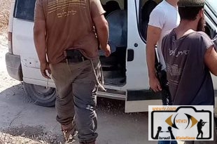 عصابات المستوطنين